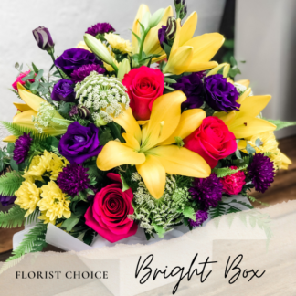Bright Seasonal Box
